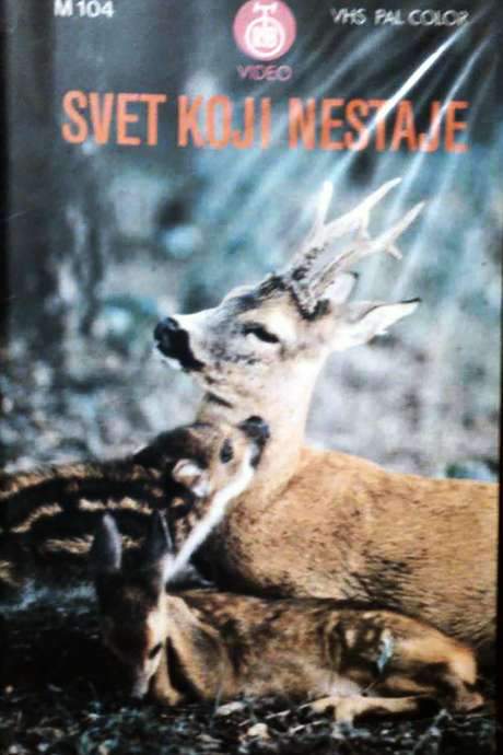 The Vanishing World